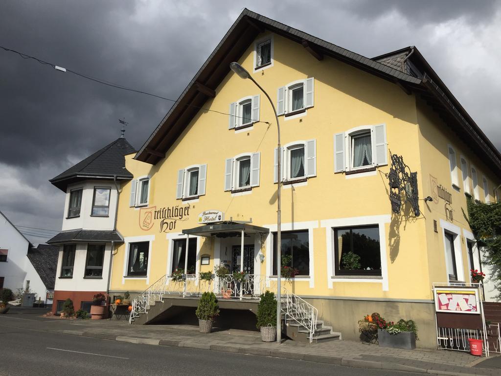 Hotel Dreischläger Hof Neustadt  Exterior foto